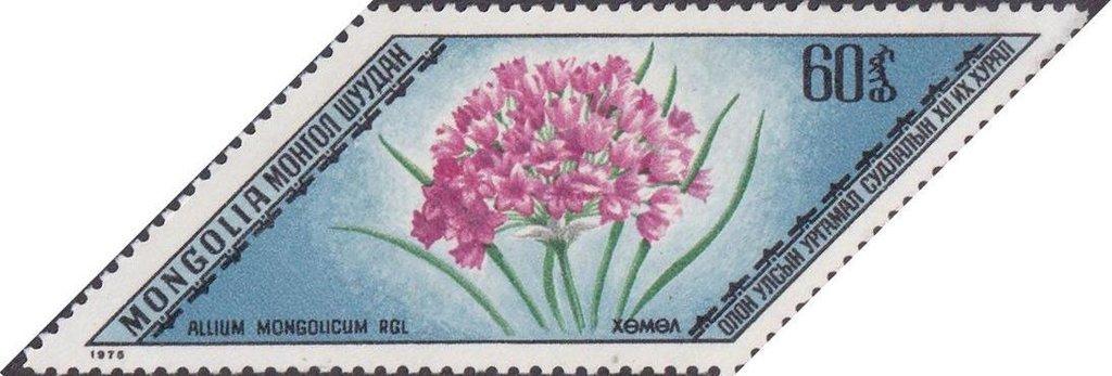 (1975-007) Марка Монголия "Монгольский лук" Редкие лекарственные растения III 
