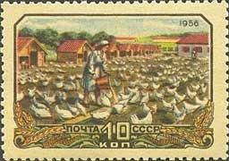 (1956-086) Марка СССР "На птицеферме" Сельское хозяйство в СССР II 