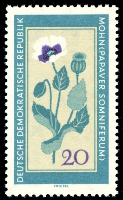(1960-015) Марка Германия (ГДР) "Опиумный мак" Лекарственные растения II 