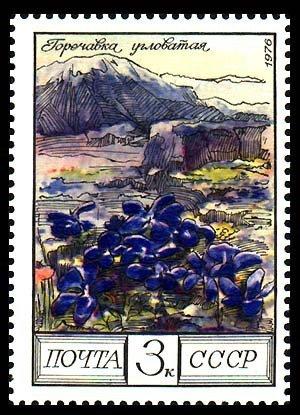 (1976-111) Марка СССР "Угловатая горечавка" Цветы гор Кавказа III 
