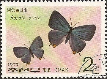 (1977-067) Марка Северная Корея "Японская вспышка" Бабочки II 