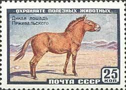 (1959-054) Марка СССР "Лошадь Пржевальского" Фауна СССР III 