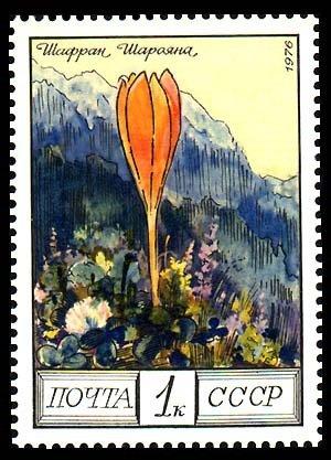 (1976-109) Марка СССР "Шафран Шарояна" Цветы гор Кавказа III 