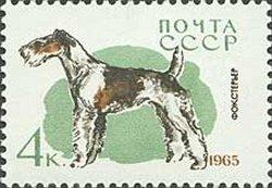 (1965-012) Марка СССР "Фокстерьер" Служебные и охотничьи собаки III O