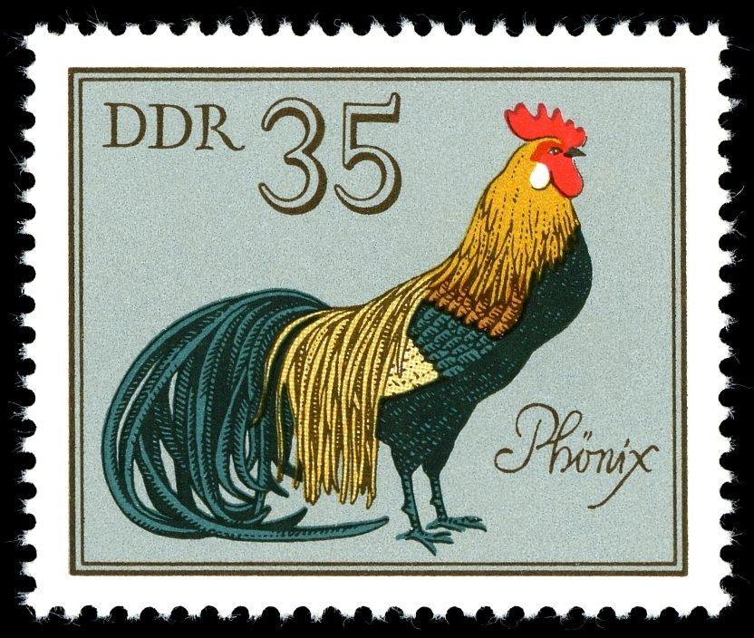 (1979-011) Марка Германия (ГДР) "Феникс" Домашняя птица III 