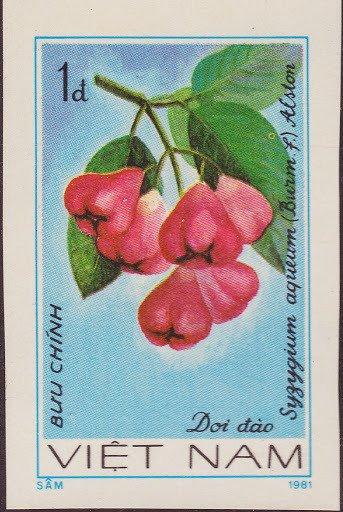 (1981-043a) Марка Вьетнам "Джамбу" Без перфорации Фрукты III O