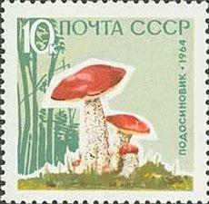 (1964-155) Марка СССР "Подосиновики" Без лакирования Грибы II O