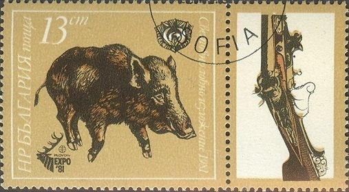 (1981-042) Марка + купон Болгария "Кабан" Международная охотничья выставка, Пловдив III