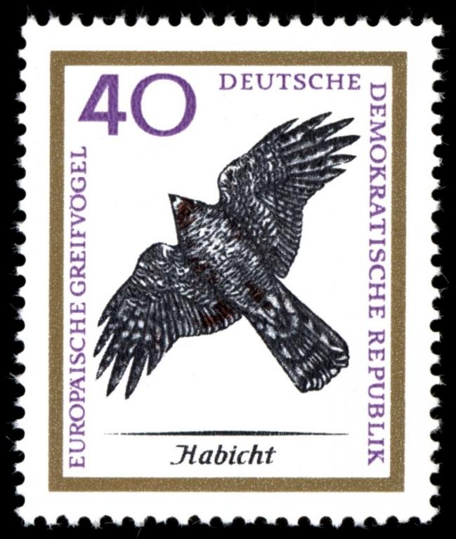 (1965-071) Марка Германия (ГДР) "Ястреб-Тетеревятник " Хищные птицы II 