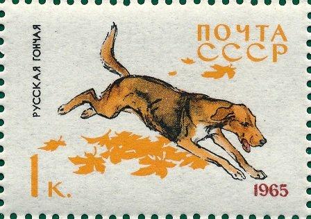 (1965-009) Марка СССР "Русская гончая" Служебные и охотничьи собаки III O