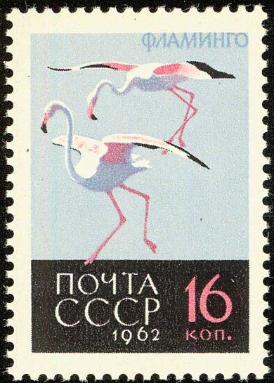 (1962-143) Марка СССР "Фламинго" Птицы II O