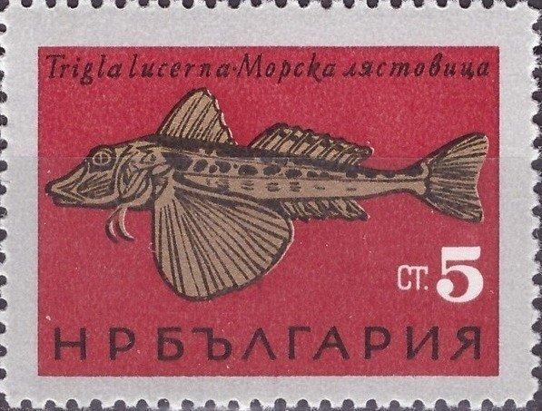 (1965-037) Марка Болгария "Тригла (морской петух)" Рыбы Чёрного моря III 