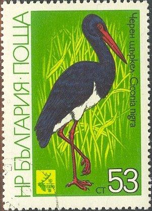 (1981-030) Марка Болгария "Чёрный аист" Международная охотничья выставка EXPO ' 81 III 