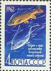 (1962-079) Марка СССР "Лещ и сазан" Рыбы II 