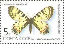 (1986-018) Марка СССР "Зеринтия кавказская" Красная книга СССР. Бабочки III 