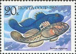 (1983-054) Марка СССР "Бычок-кругляк" Промысловые рыбы III 