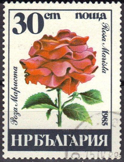 (1985-057) Марка Болгария "Роза Мариста" Розы III 