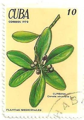 (1970-007) Марка Куба "Канелла" Лекарственные растения III 