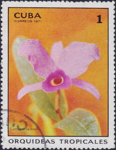 (1971-035) Марка Куба "Каттлея" Орхидеи III 