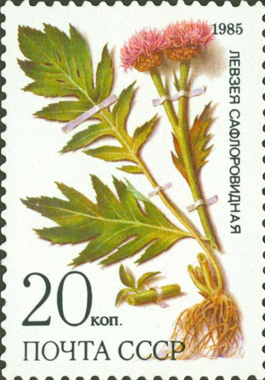 (1985-064) Марка СССР "Левзея сафлоровидная" Лекарственные растения Сибири III O