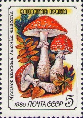 (1986-036) Марка СССР "Красный мухомор" Ядовитые грибы III O