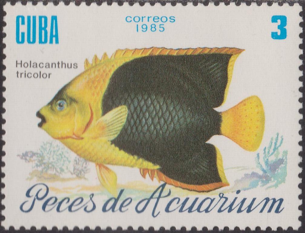 (1985-059) Сцепка (2 м) Куба "Карибская императорская рыба" Рыбы III 