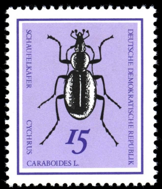 (1968-080) Марка Германия (ГДР) "Жужелица-улиткоед" Насекомые III 