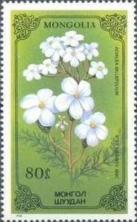 (1986-044) Марка Монголия "Тысячелистник обыкновенный" Лекарственные растения III O