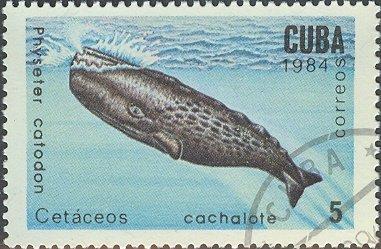 (1984-015) Марка Куба "Кашалот" Киты и дельфины III 