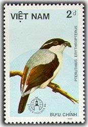 (1986-052) Марка Вьетнам "Белобровый сорокопут" Птицы III 
