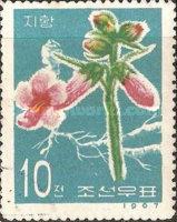 (1967-027) Марка Северная Корея "Рехманния клейкая" Лекарственные растения III 