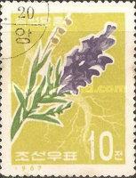 (1967-029) Марка Северная Корея "Шлемник байкальский" Лекарственные растения III 