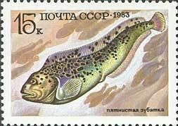 (1983-053) Марка СССР "Пятнистая зубатка" Промысловые рыбы III 
