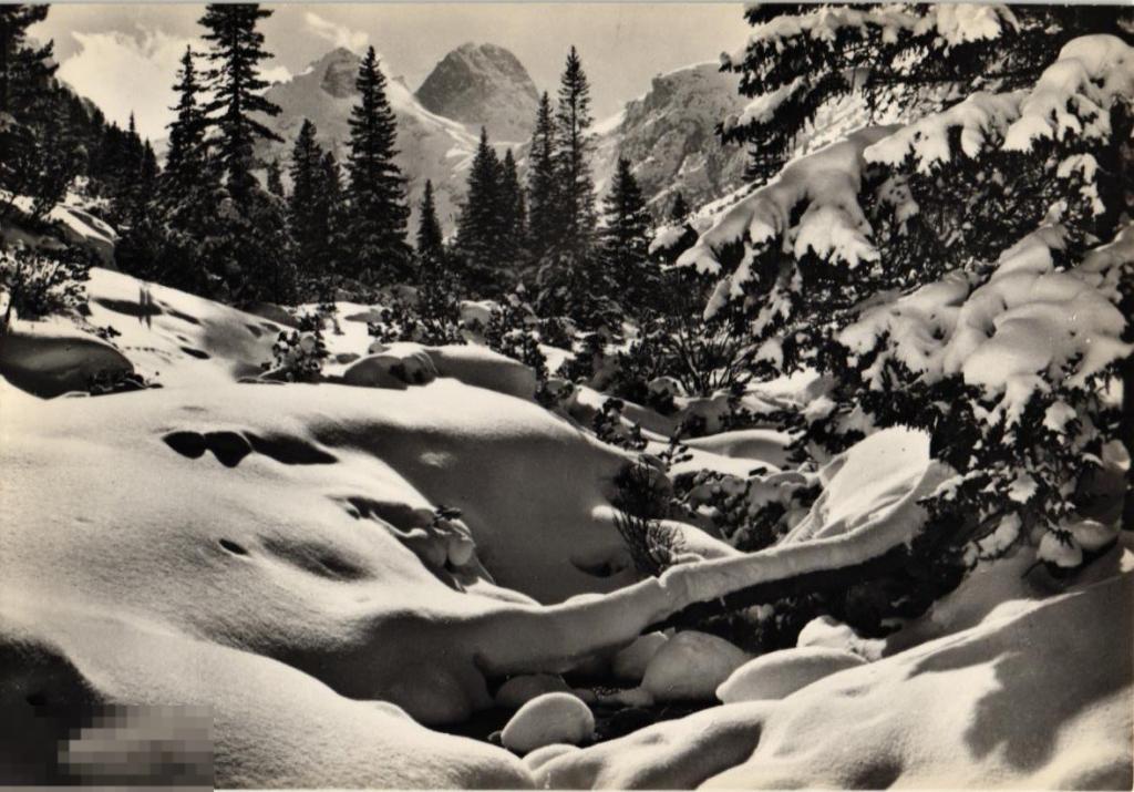 (WG)  Природа Зимний пейзаж фотоиздат горы (2022-259) чистая