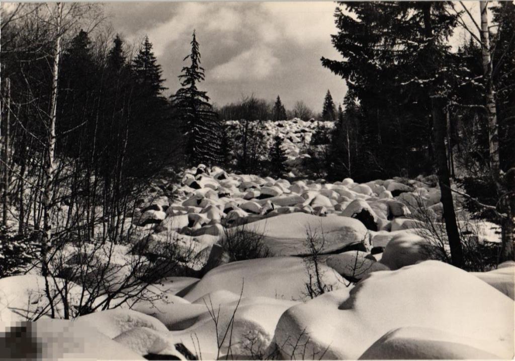 (WG) Зимний пейзаж Фотоиздат  (2022-259) чистая