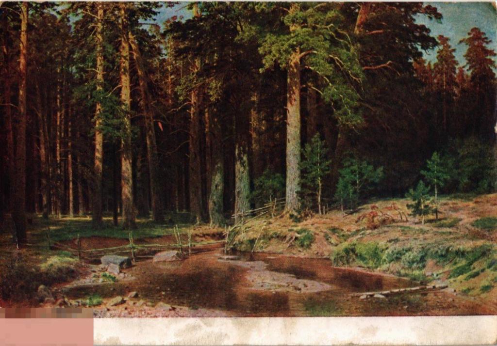 (WG) Живопись Корабельная роща  Шишкин датирована 1931  (2022-258)