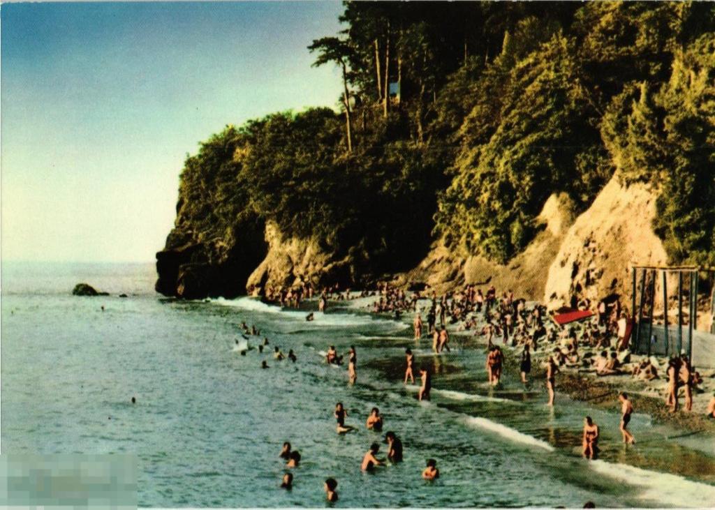 (WG) Грузинская ССР курорт Цихисдзири пляж мода винтаж (2022-263) чистая