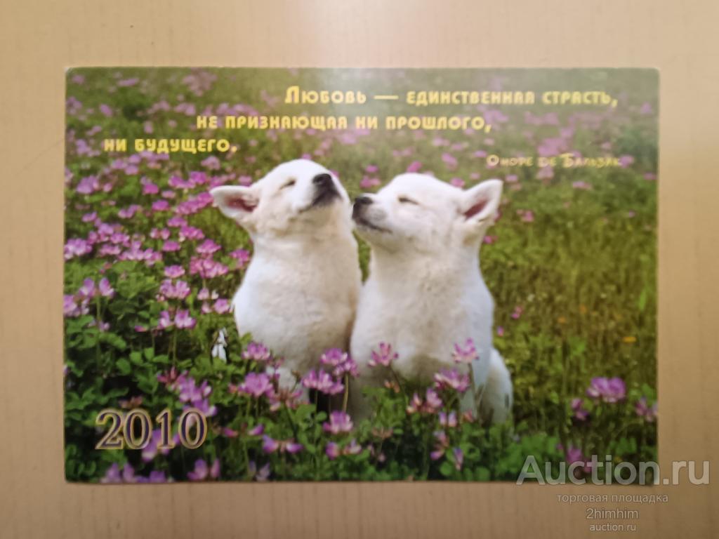 Календарик на 2010 год, г.Гомель, Беларусь, цч-1 а-2034