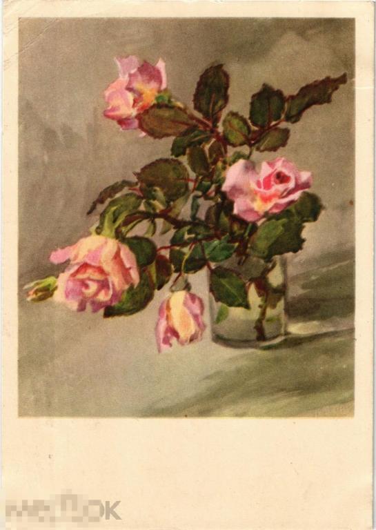 (WG) Цветы Розы 1960 Купецио (2023-104)