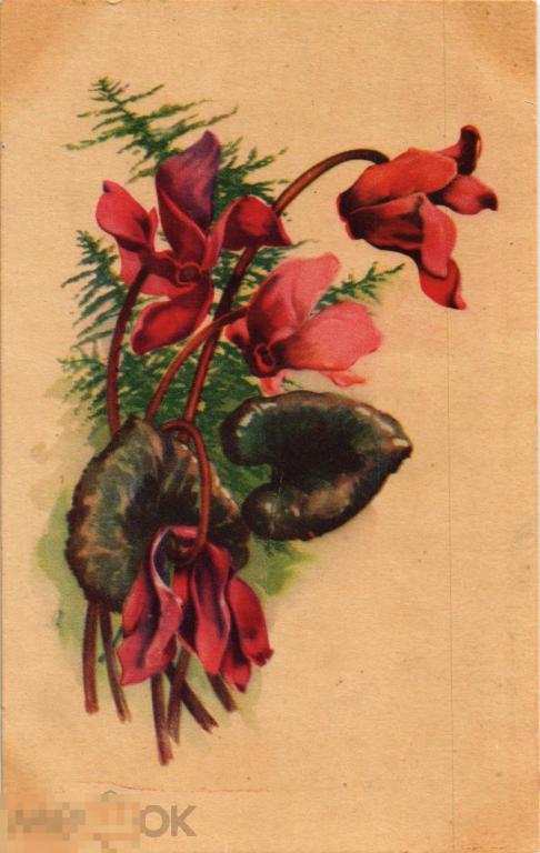 (WG) Композиция цветы 1950-е (2023-107)