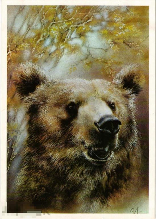 (WG) Медведь 1989 Исаков (2023-86) чистая