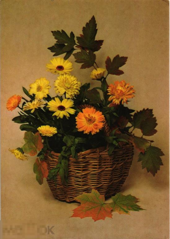 (WG)  Осенний букет 1986 Агладзе цветы в корзинке композиция  (2023-134) чистая