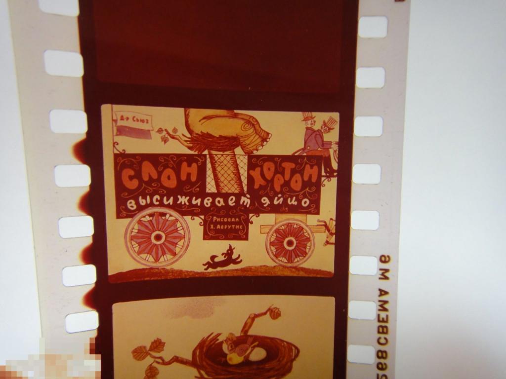 (WG) Диафильм Слон Хортон высиживает яйцо 1976 худ. Аврутис (кор 26)