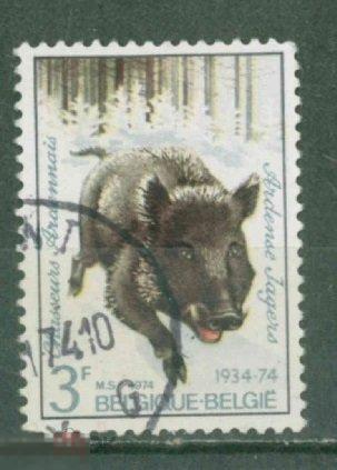 Бельгия 1974  Mi# 1765  Кабан гаш d4