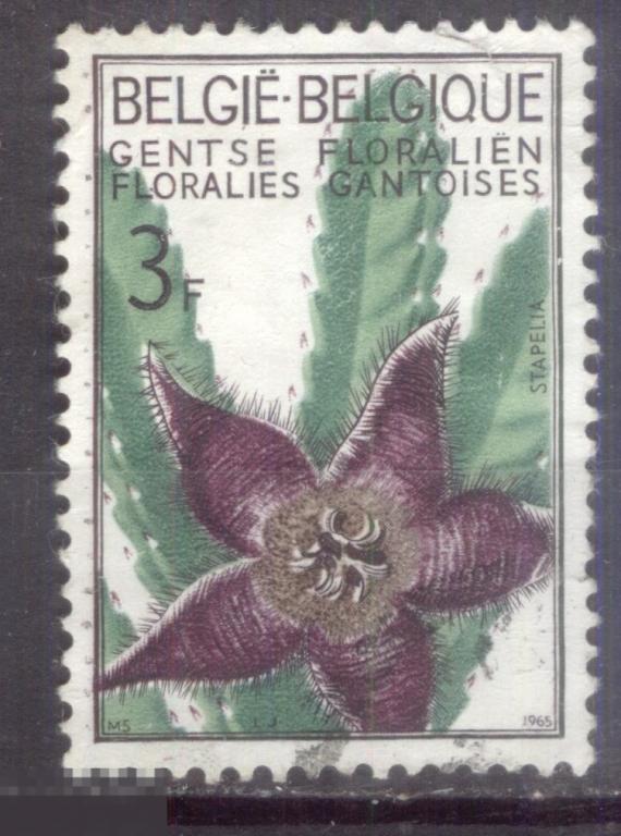 Бельгия 1965  Mi# 1377 Фролистика   гаш d8