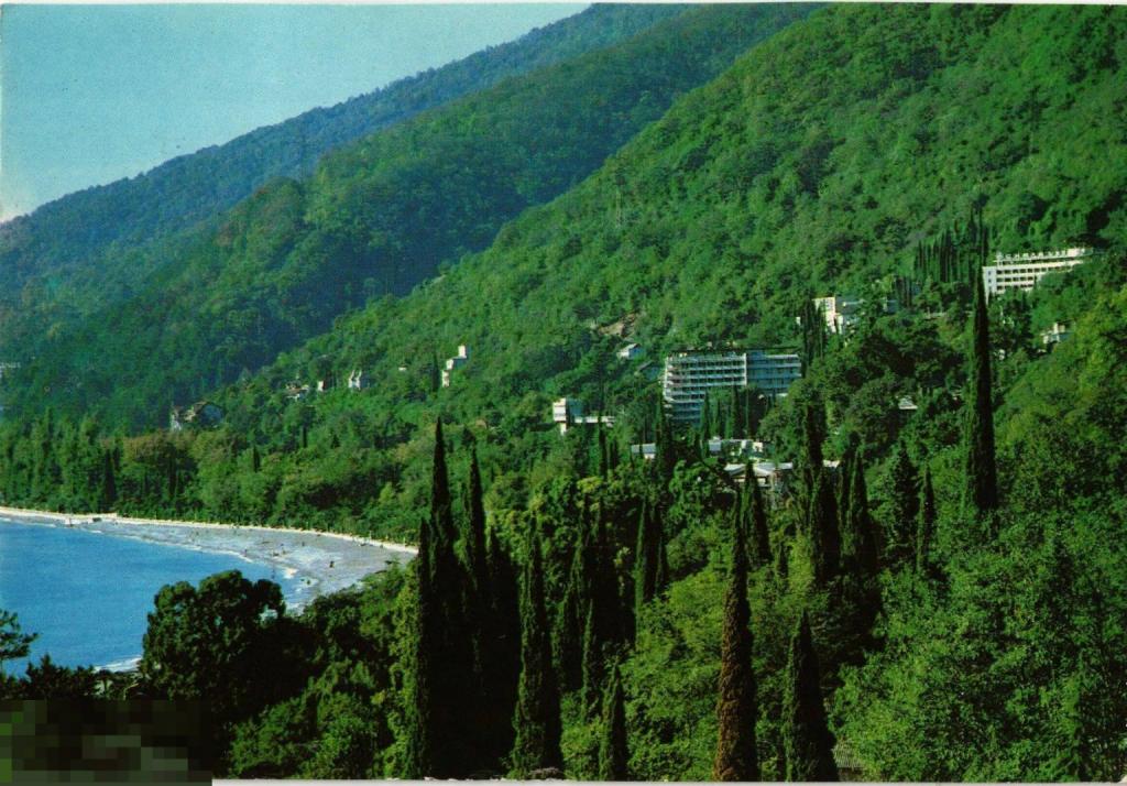 (WG) Вид на Гагру 1982 Панов (2024-40) чистая