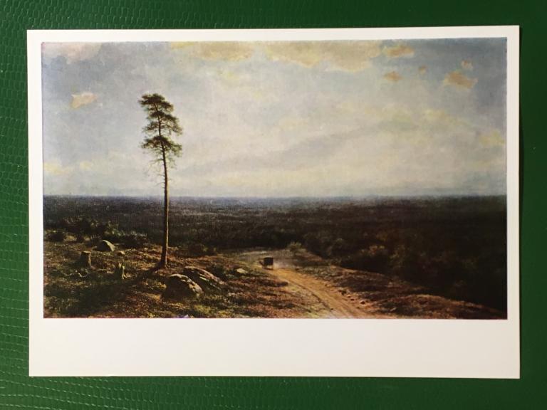 М.К. Клодт. Лесная даль в полдень. 1970 г.