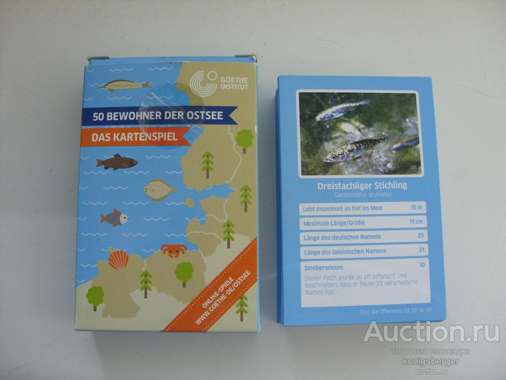 Карточки животные Балтийского моря на немецком.