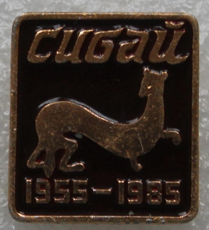 Сибай 1955-1985 Куница Башкортостан Башкирия Урал Юбилей