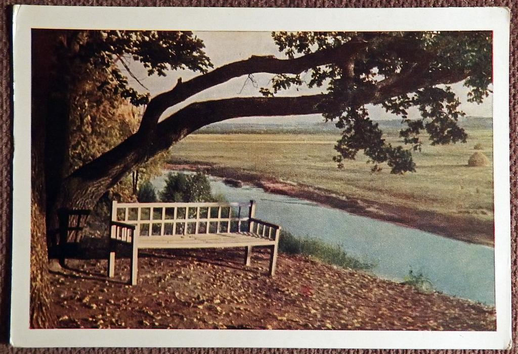 Открытка. Тригорское. Скамья Онегина. 1961 год